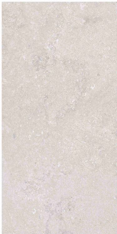 OL Port Land Stone Greige Matte 12 x 24